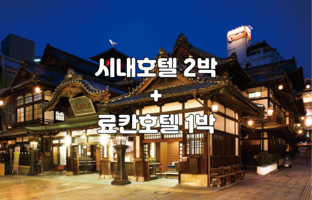 마쓰야마 리뷰 대표 이미지